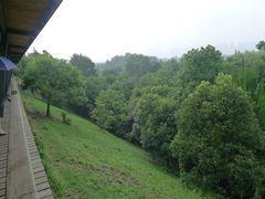 -西湖风景区-江洋畈生态公园