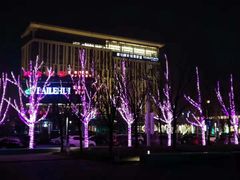 -廊坊固安福朋喜来登酒店