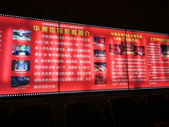 -华美国际影城(旧宫永辉店)