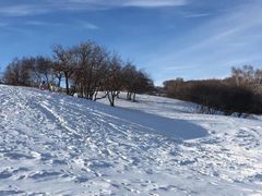 -塞罕坝国家级自然保护区