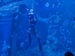 -多彩贵州城极地海洋世界