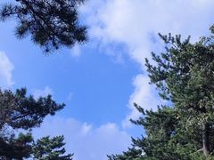 -庐山风景区花径公园