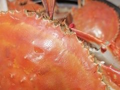-四海蒸鲜蒸汽海鲜自助(北戴河店)