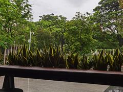 -星巴克(深圳欢乐颂店)