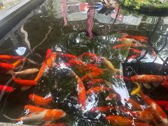 -野蔓果·山野菜(西湖景区·龙井茶田店)