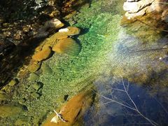 -祁门牯牛降观音堂风景区