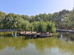 -青城公园