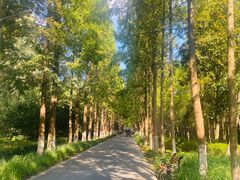 -昆山城市生态森林公园