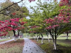-白塘生态植物园
