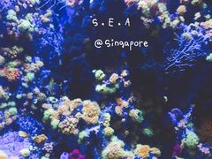 -圣淘沙名胜世界