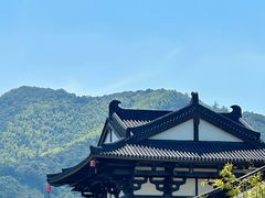 -大唐贡茶院