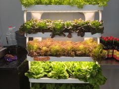 -晋一碗刀削面·特色家常菜(云岗店)