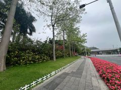 -南宁荔园维景国际酒店·荔园中餐厅
