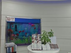 -雅悦齿科(顾村公园店)