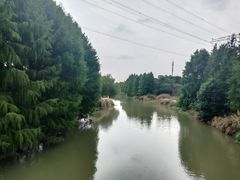 -九里河湿地公园