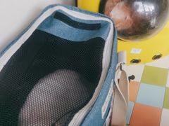 -瑞鹏宠物医院·内科·中兽医·骨科(苗圃店)
