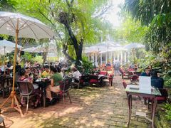 -Fern Forest Cafe