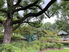 -申粤轩酒楼·三十年粤菜经典(丁香花园店)