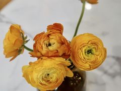 -Dal Cuore 达可芮冰淇淋(陕西北路店)