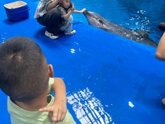 -华夏文旅海洋公园