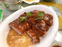 -椿记烧鹅(叠彩店)