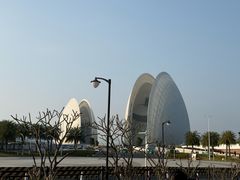 -濠轩阁特色生蚝火锅(水湾路店)