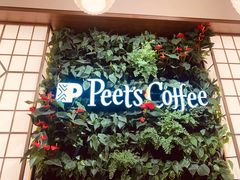 -Peet's Coffee皮爷咖啡(新天地黑标店)