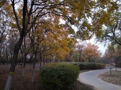 -永定河休闲森林公园