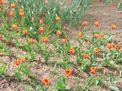 -长春公园(普阳街道)