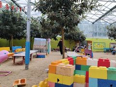 -西部长青自然儿童乐园