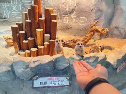 -Zoolung Zoolung动物主题公园(海信广场店)