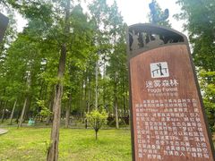 -黄海国家森林公园