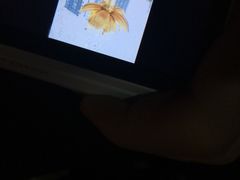 -金莲花广场