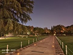 -红梅公园