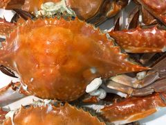 -今鲜源大酒店·中华餐饮名店(新湛路店)