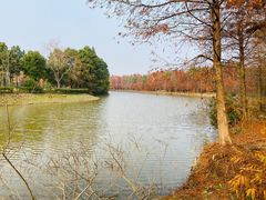 -上海海湾国家森林公园