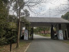 -上海海湾国家森林公园