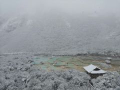 -黄龙山原始森林景区
