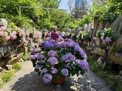 -无锡蠡湖国家湿地公园-蠡园