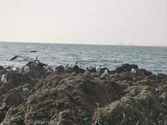-银沙滩浴场