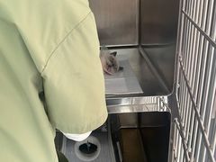 -萌兽医馆·眼科·异宠专科(三里屯店)