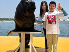 -秦皇岛乐岛海洋王国