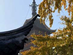 -常熟方塔园
