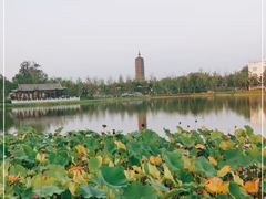-西海子公园