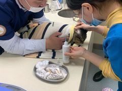 -奈斯宠物医院·核磁CT·异宠专科·内镜(中南店)