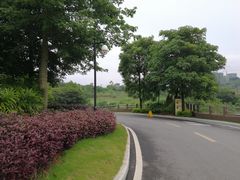 -南宁青秀山国际高尔夫球会停车地面停车场