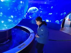 -江和美海洋公园