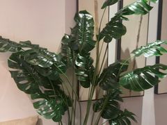 -沐善人家中医·推拿·理疗·三伏灸(新洲店)