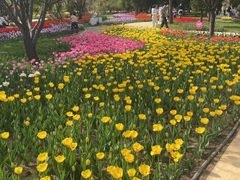 -石家庄市植物园
