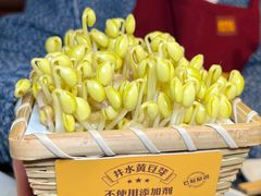 -巴奴毛肚火锅(二七万达店)